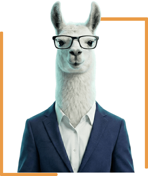 Forex SEO agency hero image