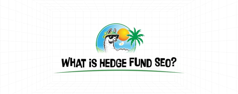 What is hedge fund SEO thumbnail