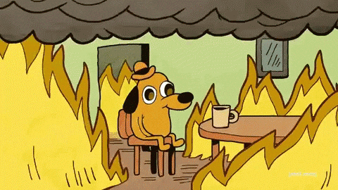 This is fine - gif